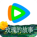 拖把的拖的笔顺